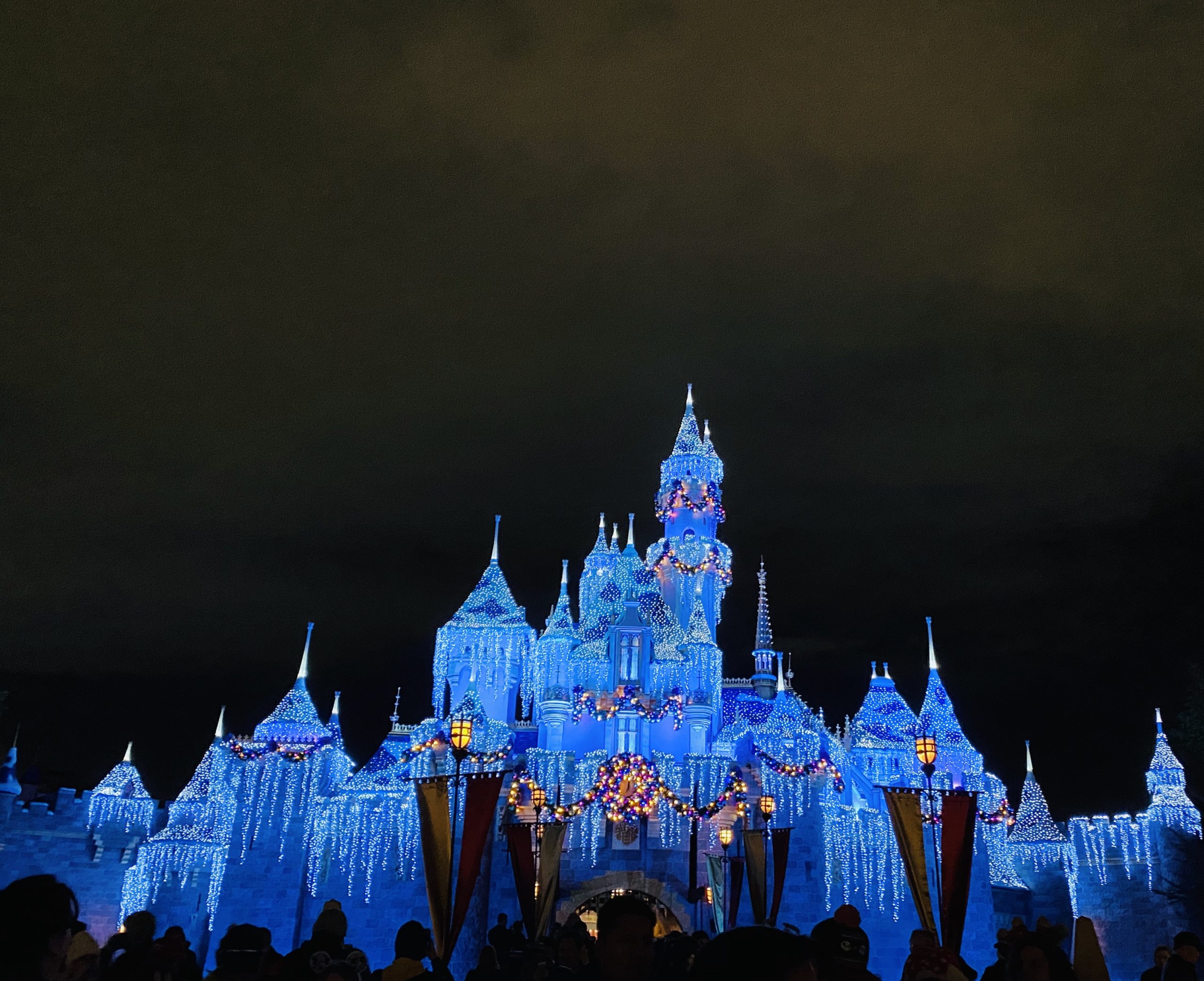 Disneyland Castle at Christmas